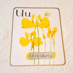 4 for $25! Letter U Utricularia Card with Dragonfly